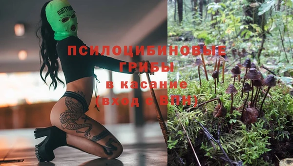 стаф Баксан