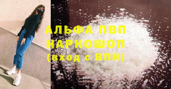 стаф Баксан