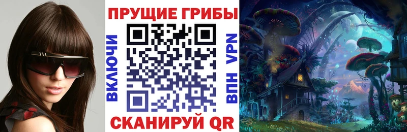Галлюциногенные грибы MAGIC MUSHROOMS  купить наркоту  Николаевск-на-Амуре 